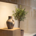 Eine organisch geformte Keramikvase auf einem Holzsockel neben einem kleinen Olivenbaum, präsentiert in einem hellen Schaufenster.